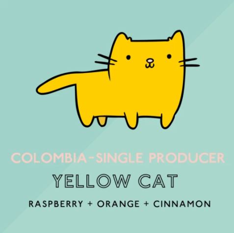 Colombian Yellow Cat (Colombian Cofee Beans)